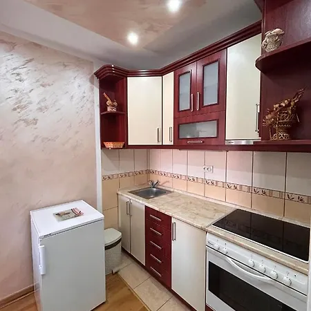 Stan Aleksic Appartement *